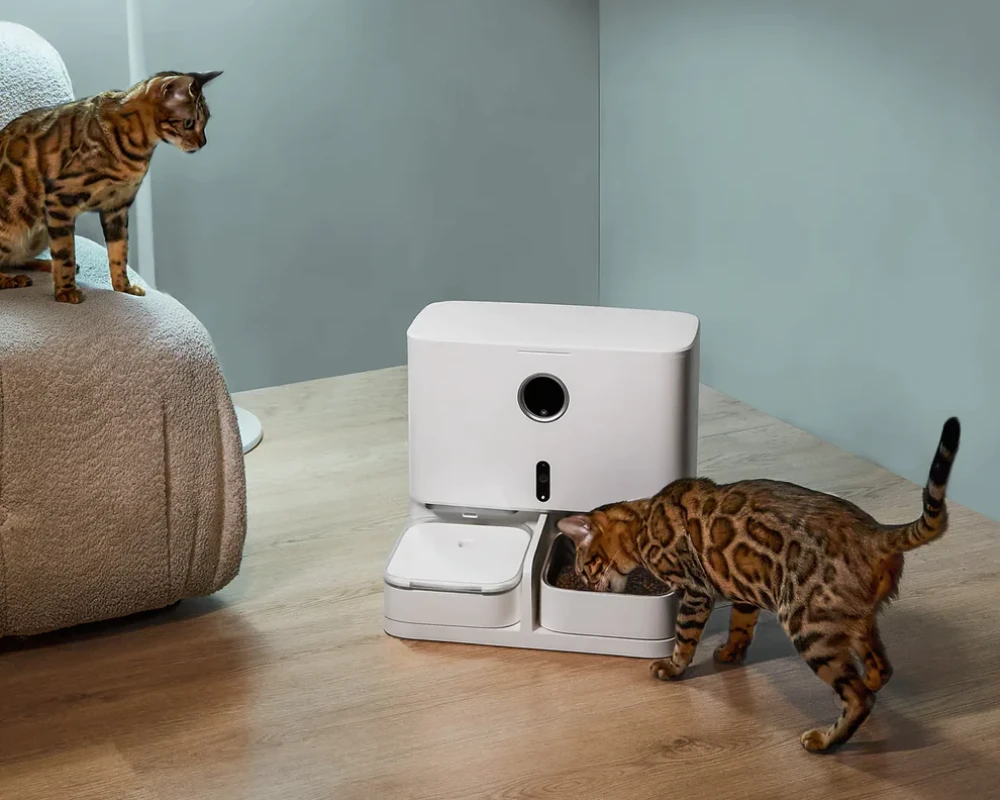pet food dispenser automatic